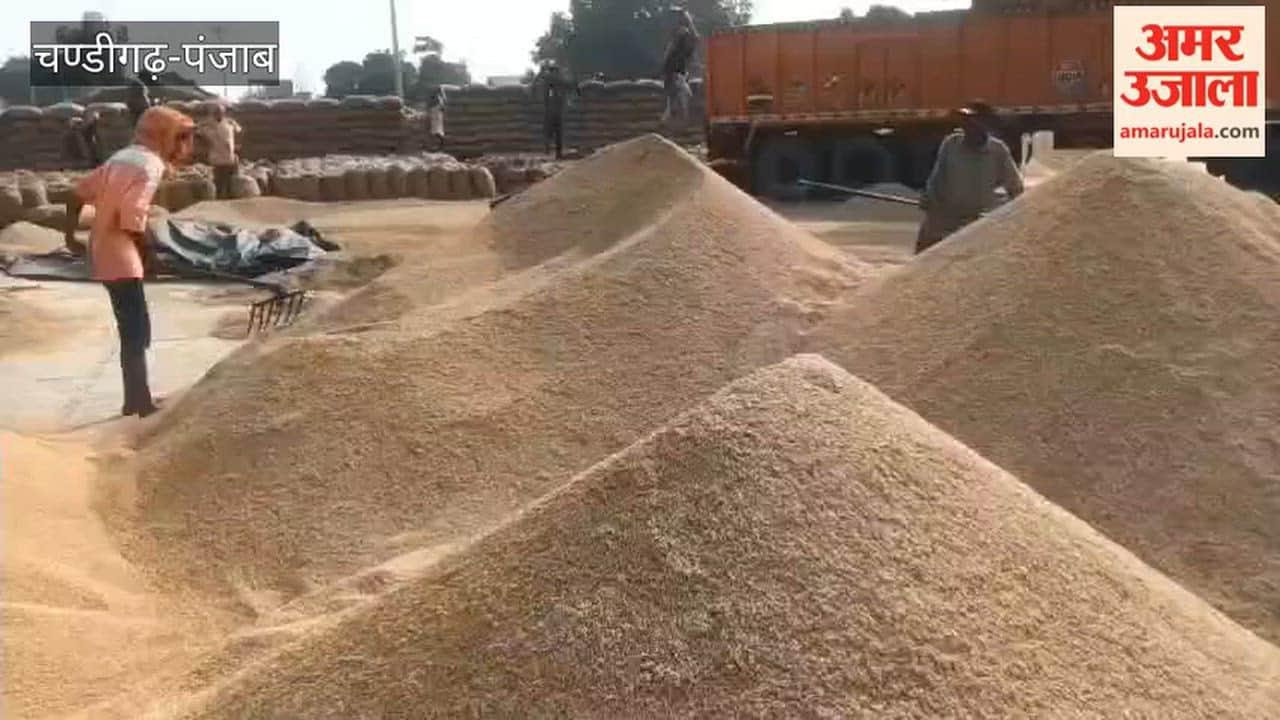 District Food Controller Vandana Kamboj inspected the mandis in Ferozepur.