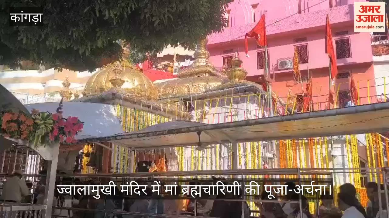 jwalaji temple navratri day two maa brahmacharini darshan