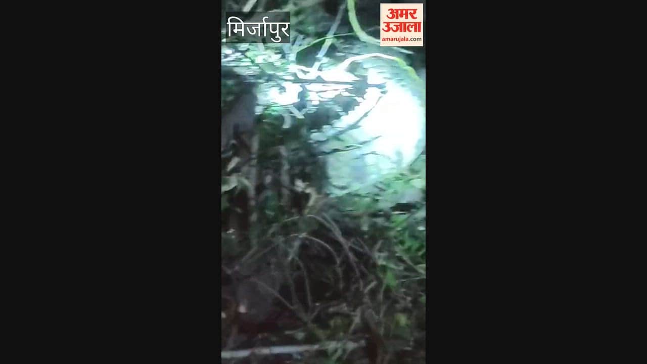 VIDEO: 10-foot-long crocodile found in village; Forest Department carries out rescue
