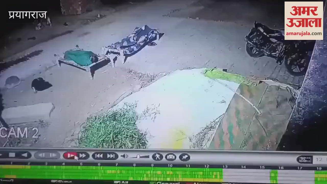 A leopard was spotted in Tela village, Baraut, in the area across the Ganges; it passed close to people sleeping on cots outside their homes at night.