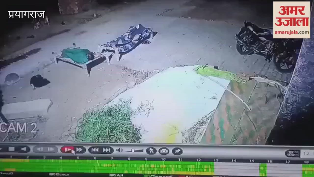 A leopard was spotted in Tela village, Baraut, in the area across the Ganges; it passed close to people sleeping on cots outside their homes at night.