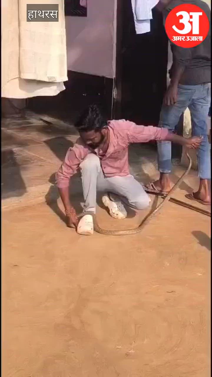 बिसावर के ऊंचागांव (सुसाइन) में निकला सांप, ऐसे पकड़ा