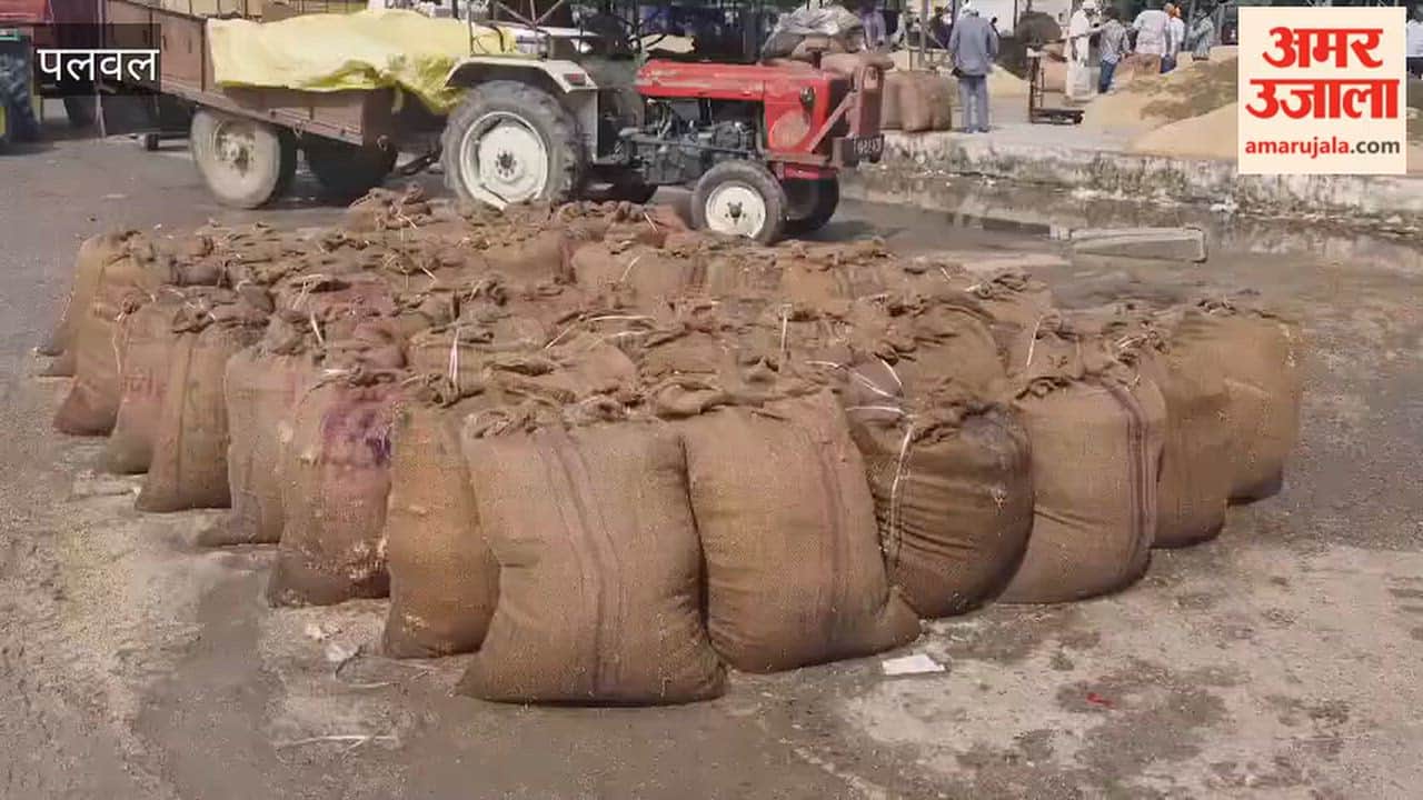 Waterlogging in grain markets of Hodal in Palwal