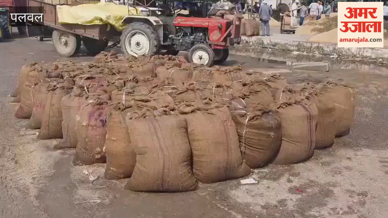 Waterlogging in grain markets of Hodal in Palwal