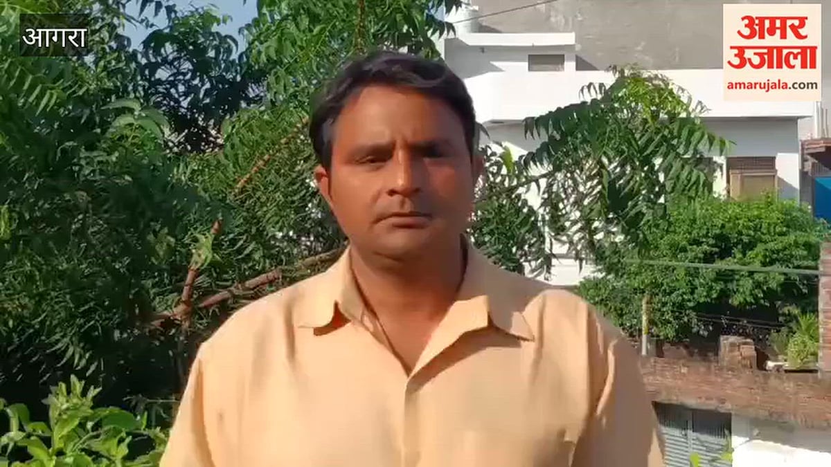 VIDEO: पंखे से टकराकर घायल पक्षियों का उपचार