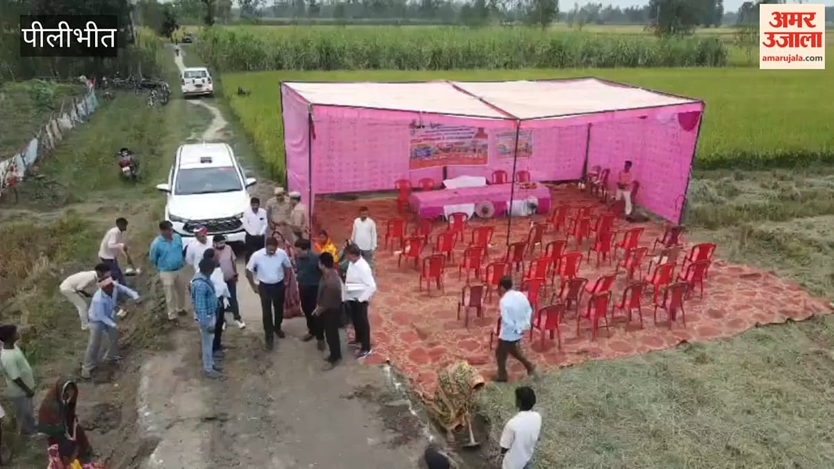 पीलीभीत: विशेष रोजगार सृजन दिवस पर डीएम ने किया श्रमदान, 720 ग्राम पंचायतों में चला अभियान