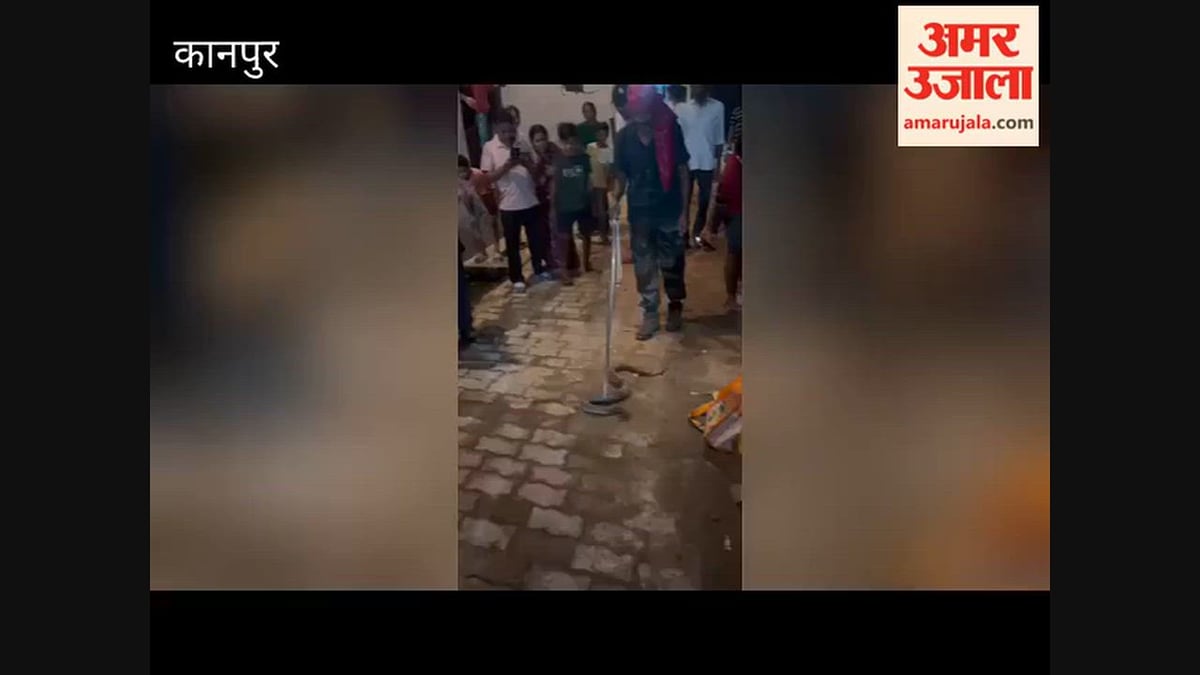 शुक्लागंंज: साकेतपुरी में निकला चार फीट का अजगर, सहमे लोग