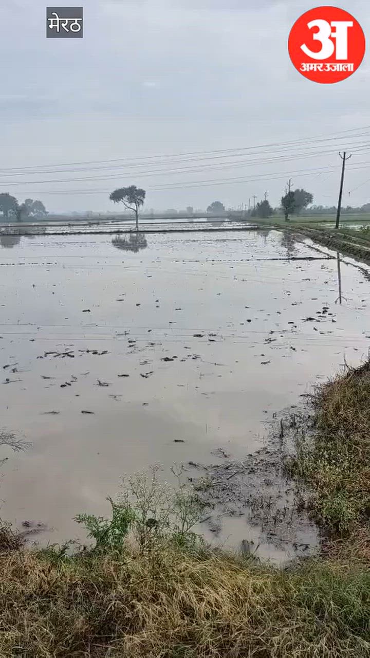 Meerut: ओलावृष्टि से फसलों को नुकसान, खरखौदा के 11 गांवों की बिजली गुल, पानी और चारे का संकट, आलू-सरसों की बुवाई दस दिन पिछड़ने की आशंका