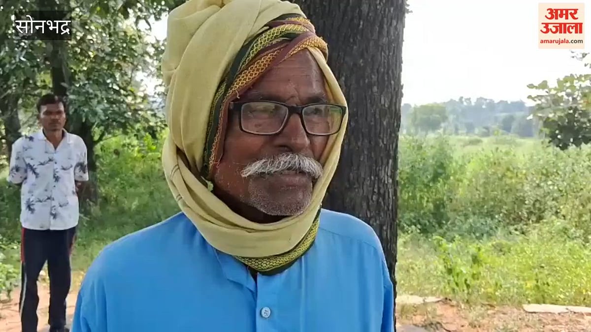 VIDEO: 38 गांवों के 3500 ग्रामीण बने जंगल के प्रहरी, 2070 हेक्टेयर वन क्षेत्र बचाया