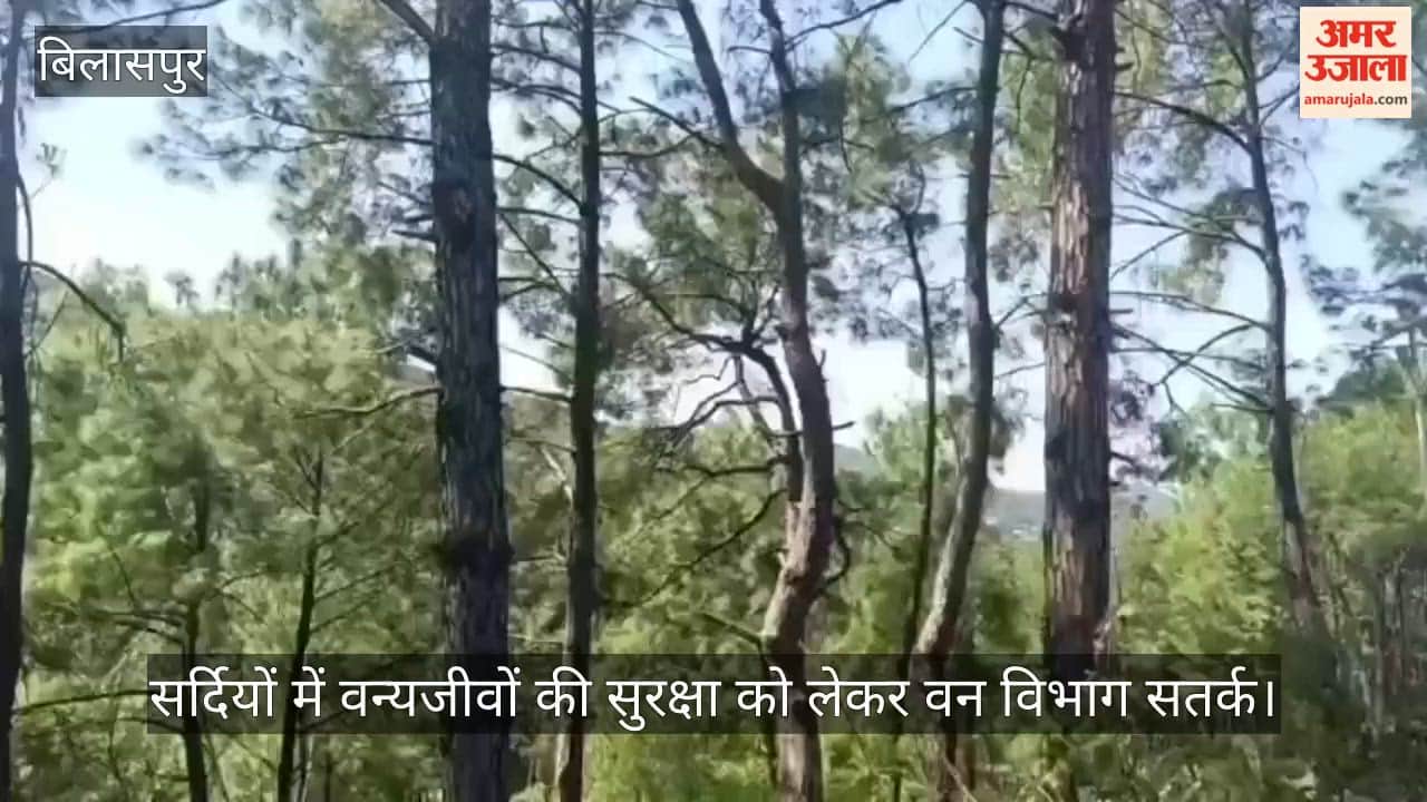 bilaspur forest department wildlife poaching monitoring winter