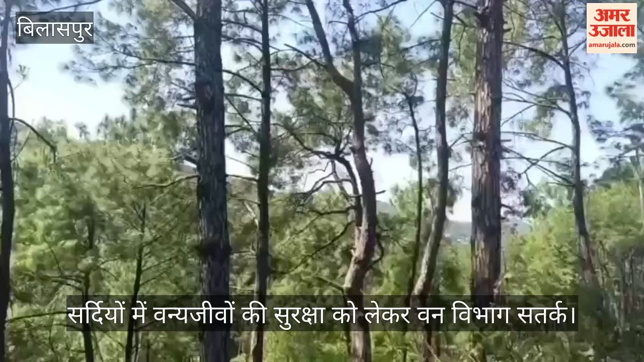 bilaspur forest department wildlife poaching monitoring winter