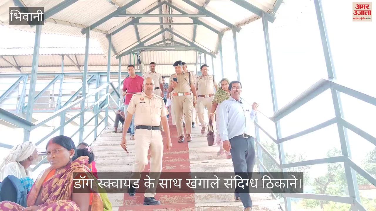 Police search operation in Loharu under the instructions of SP Mayank Mishra.