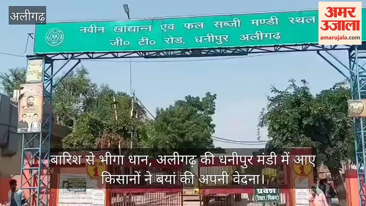 बारिश से भीगा धान, अलीगढ़ की धनीपुर मंडी में आए किसानों ने बयां की अपनी वेदना