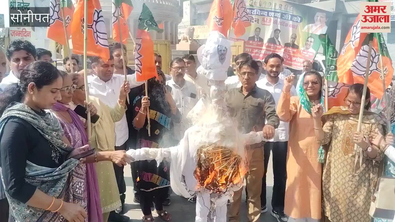 BJP workers staged a protest and burned an effigy of Rahul Gandhi.