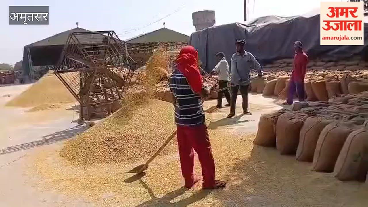 Administration claims robust arrangements for paddy at Bhagtawala Mandi in view of the weather.