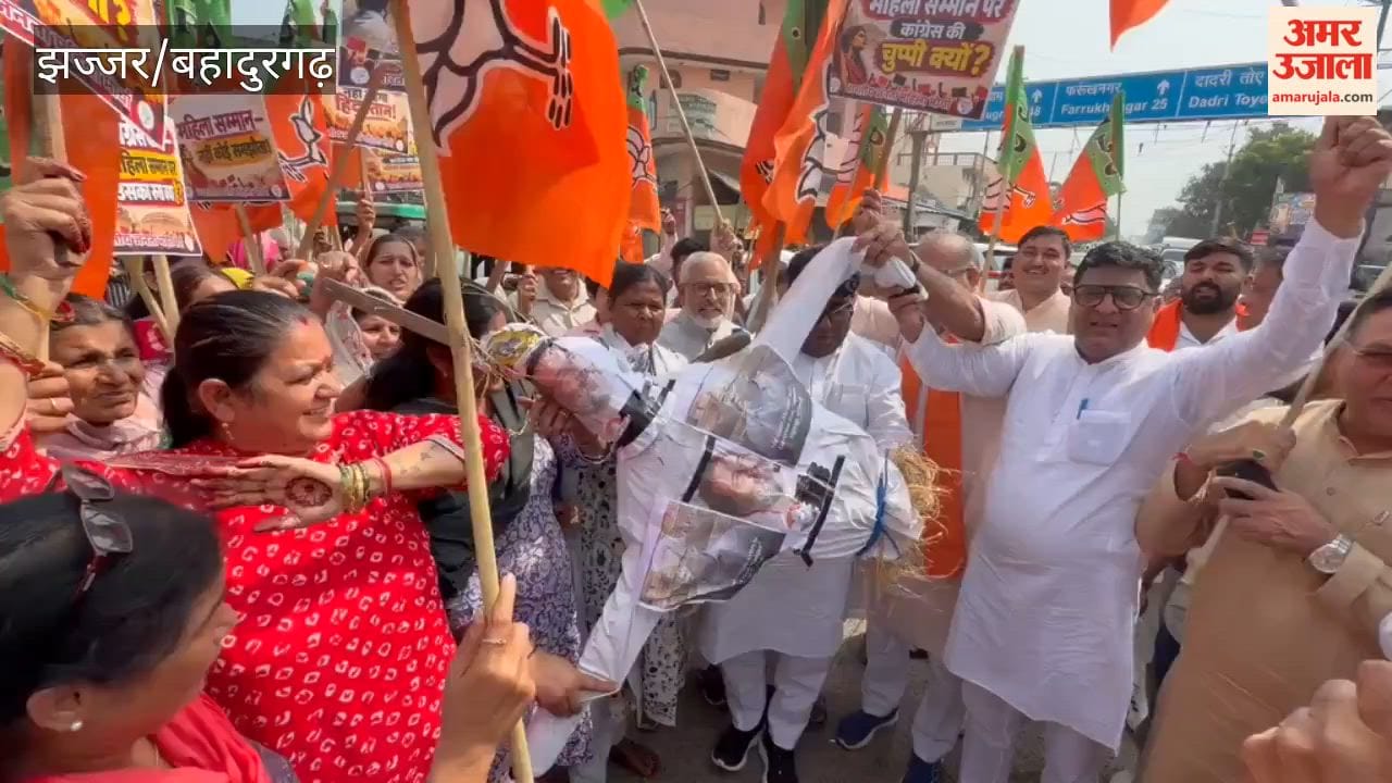BJP burns Rahul Gandhi's effigy.