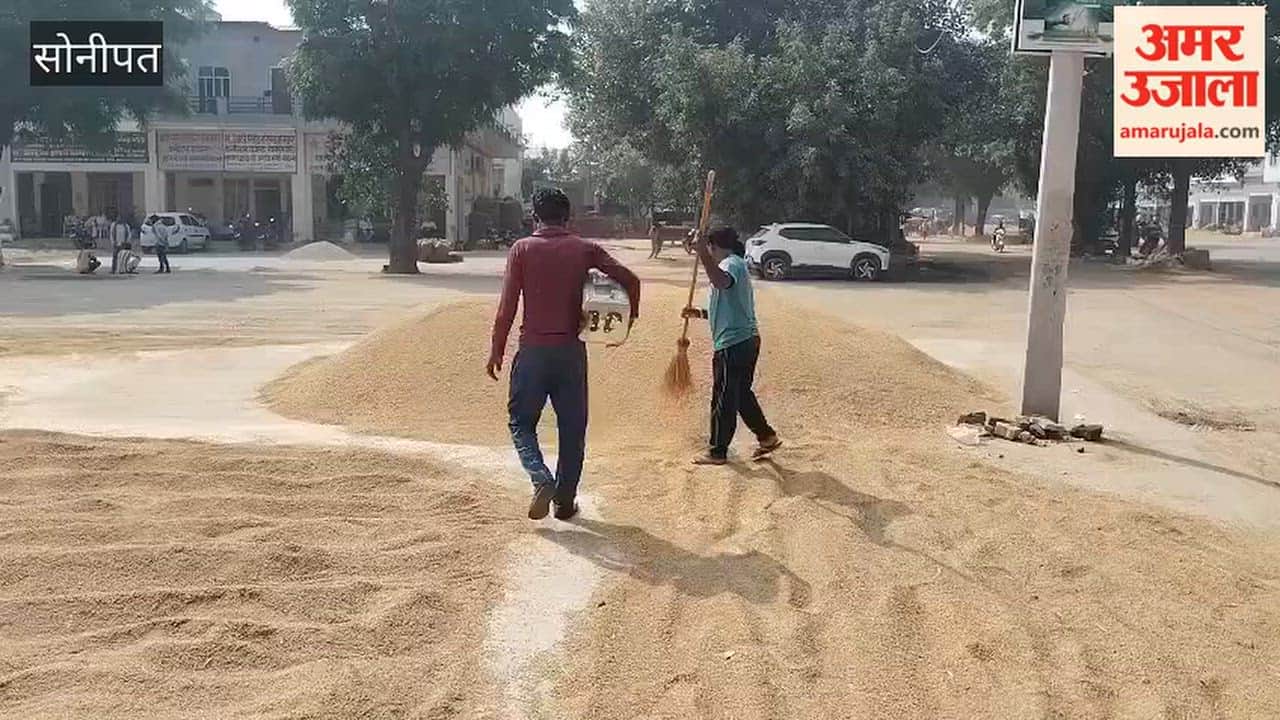 Farmers in Gohana, Sonipat, are concerned as the procurement of PR paddy is not proceeding smoothly