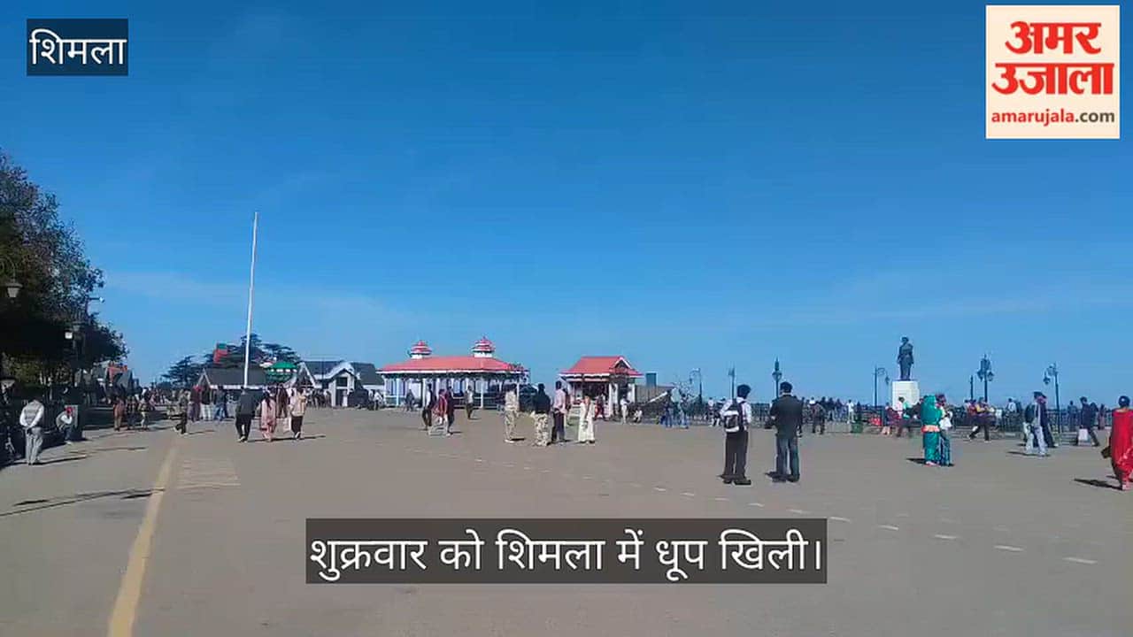 sunny weather in shimla friday