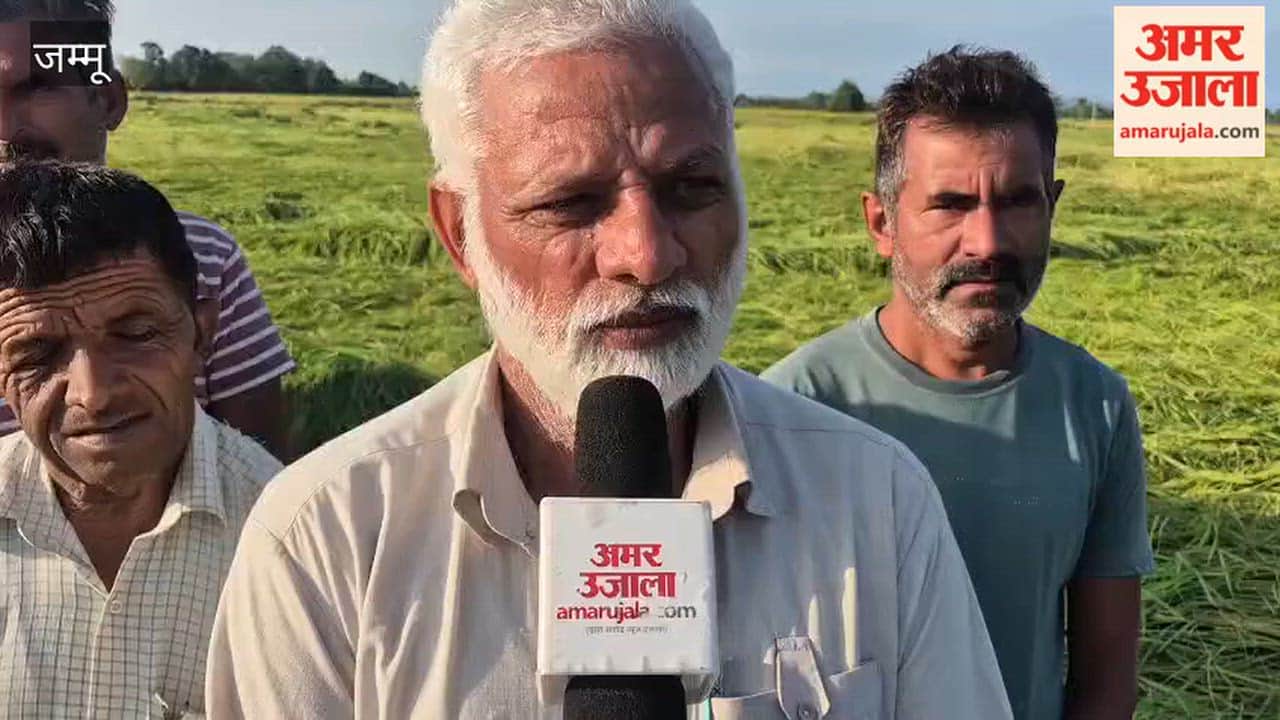 Storms in Ramgarh undo farmers' hard work