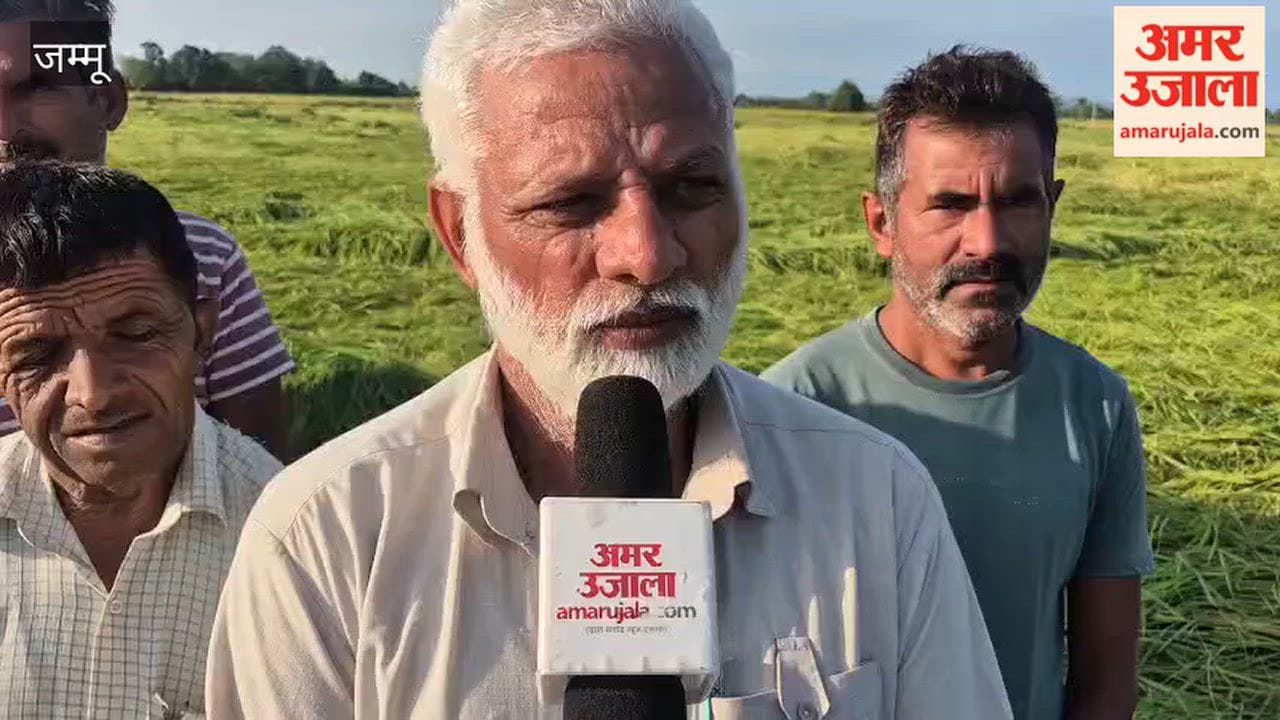 Storms in Ramgarh undo farmers' hard work