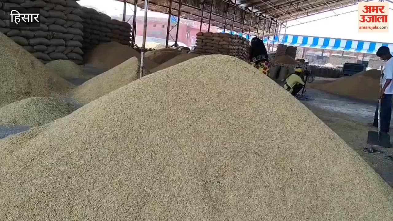 Farmers in Hansi Mandi are troubled by the slow pace of paddy procurement and lifting; concerns have intensified due to the possibility of rain.