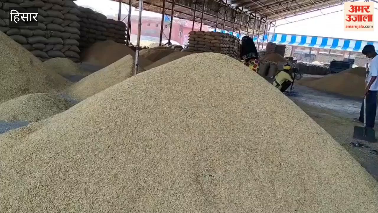 Farmers in Hansi Mandi are troubled by the slow pace of paddy procurement and lifting; concerns have intensified due to the possibility of rain.