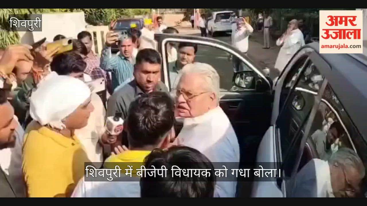OBC Mahasabha Kisan Morcha, who told a BJP MLA: "Yes, you are a donkey."
