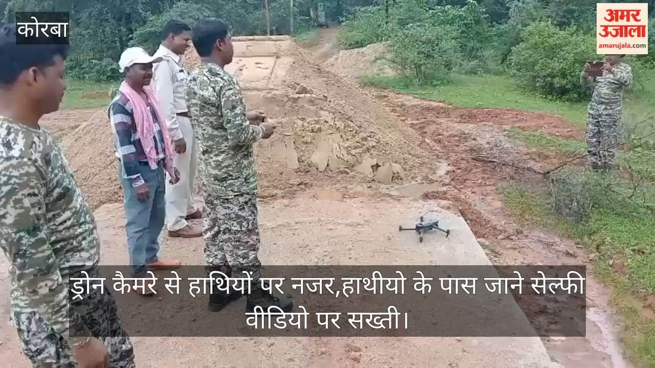 announcement, monitoring elephants with drone cameras, strictly prohibiting selfies and videos near elephants.