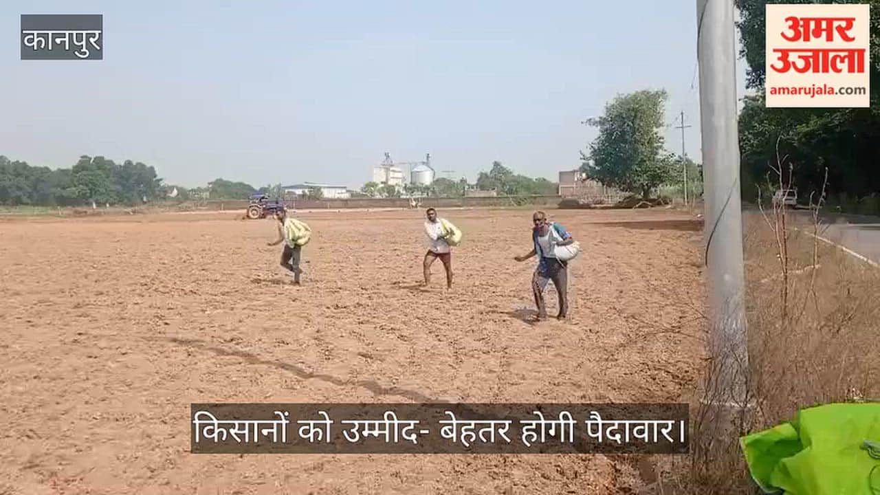 Kanpur Soil moisture levels drop sowing of oilseed crops begins