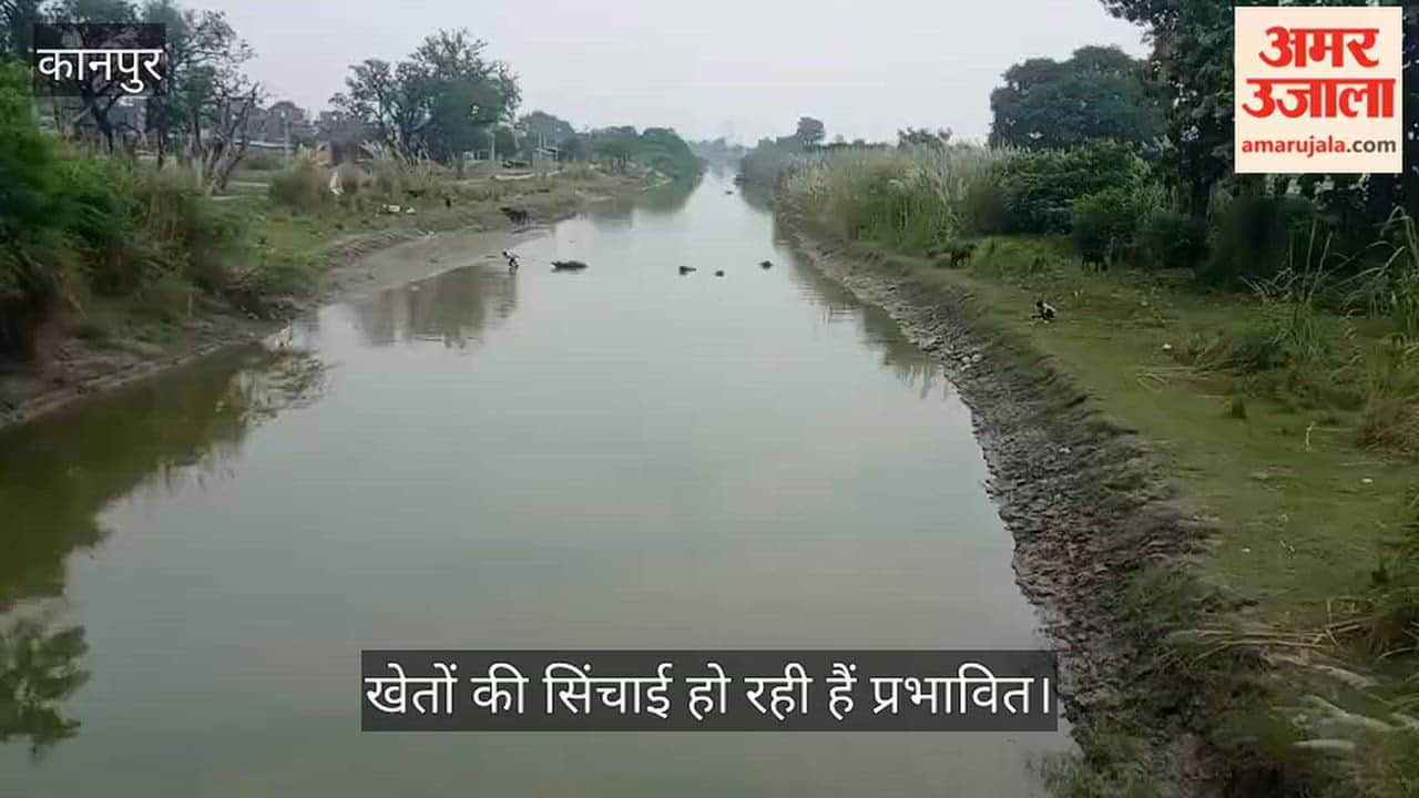Kanpur Vegetable farmers face increased hardships as canal water levels drop