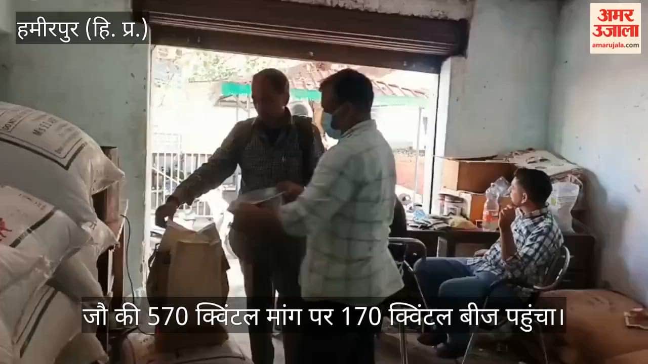 hamirpur rabi season seeds no subsidy barley mustard
