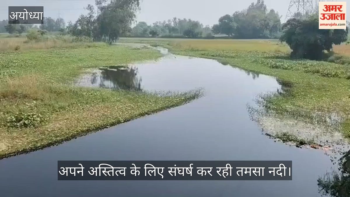 VIDEO: पौराणिक महत्व वाली तमसा नदी का अस्तित्व संकट में, नाले में तब्दील हुआ स्वरूप
