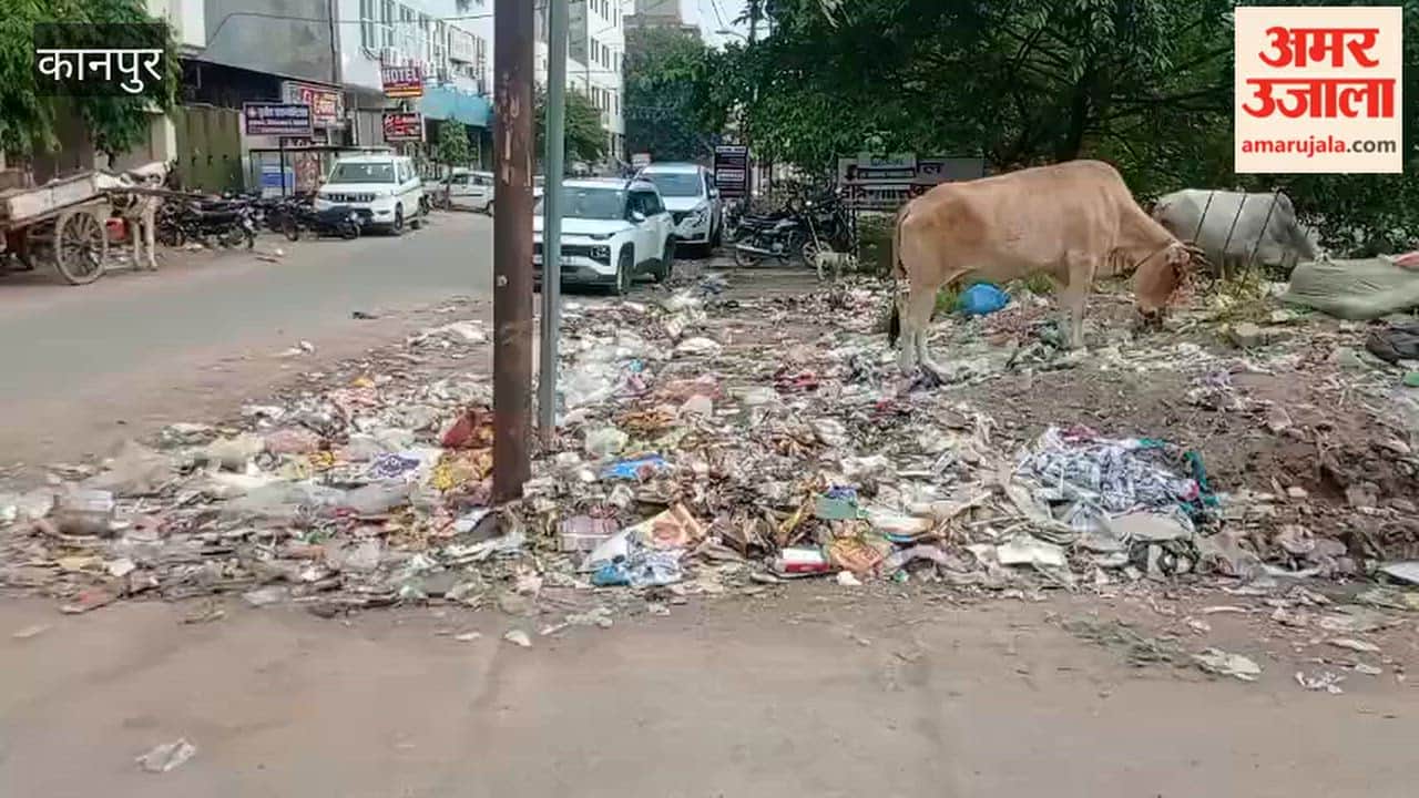 Kanpur: Residential area opposite Indian Overseas Bank turns into a dumping zone