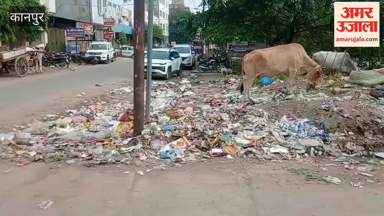 Kanpur: Residential area opposite Indian Overseas Bank turns into a dumping zone