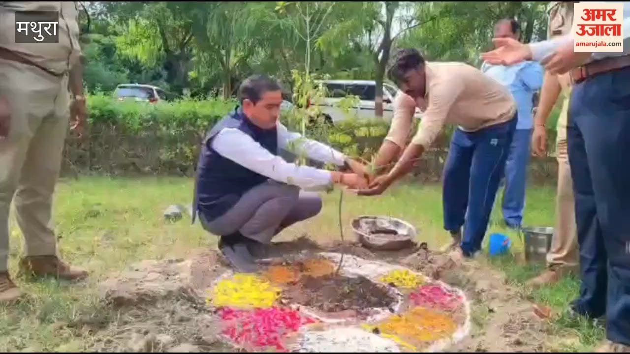 The District Magistrate planted a sandalwood sapling in Saubhari Forest.