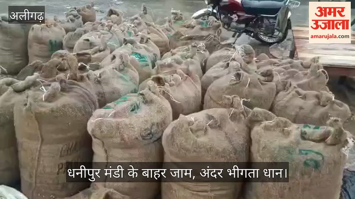 धनीपुर मंडी के बाहर जाम, अंदर भीगता धान