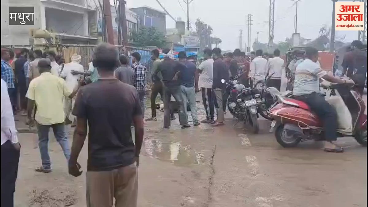 VIDEO: दो पशुओं की करंट से मौत, बची पशुपालक की जान