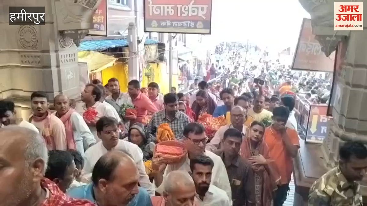 मां के जयकारों से गूंजा विंध्यधाम, सप्तमी पर भोर  मां के दर्शन को उमड़े श्रद्धालु; VIDEO