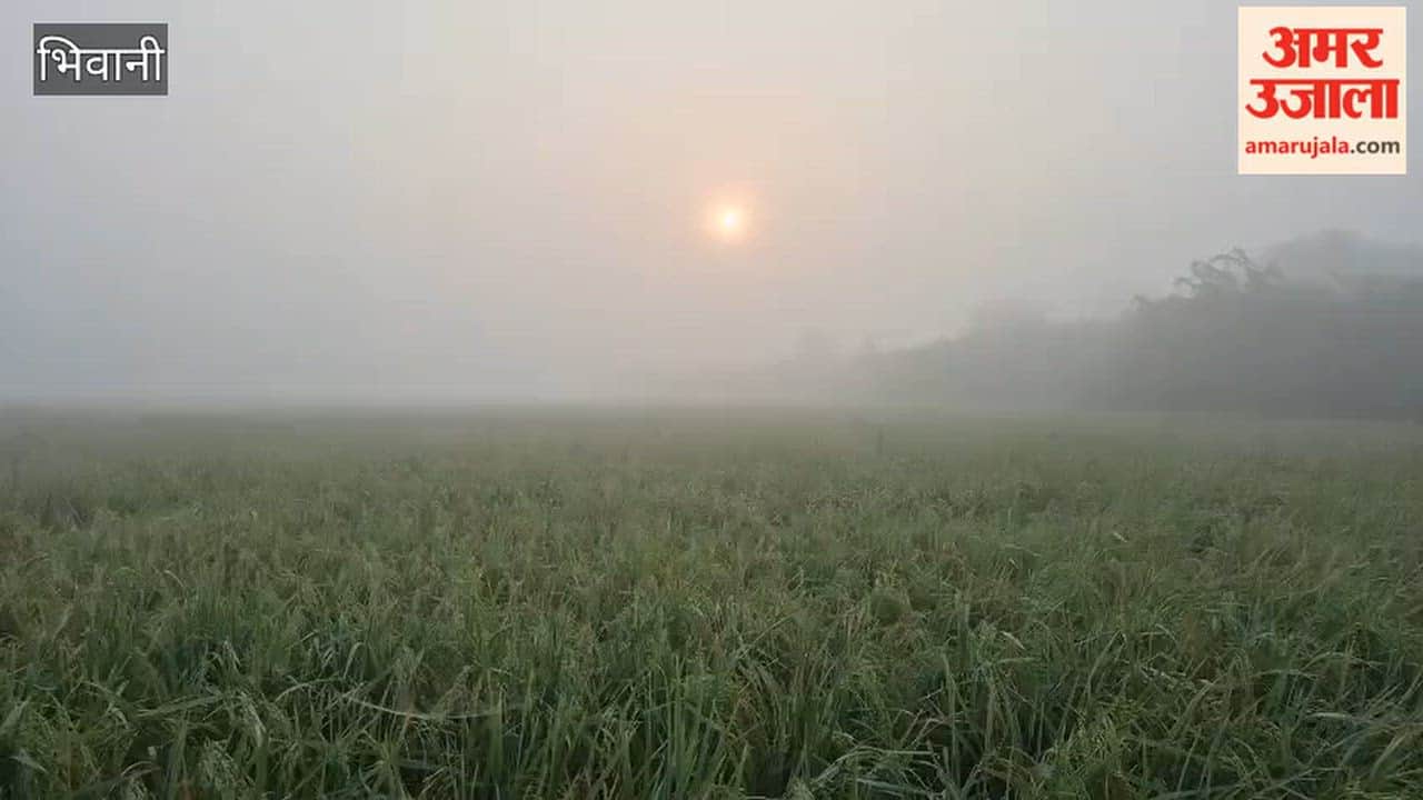 light haze sets in during morning in Bhiwani following rain