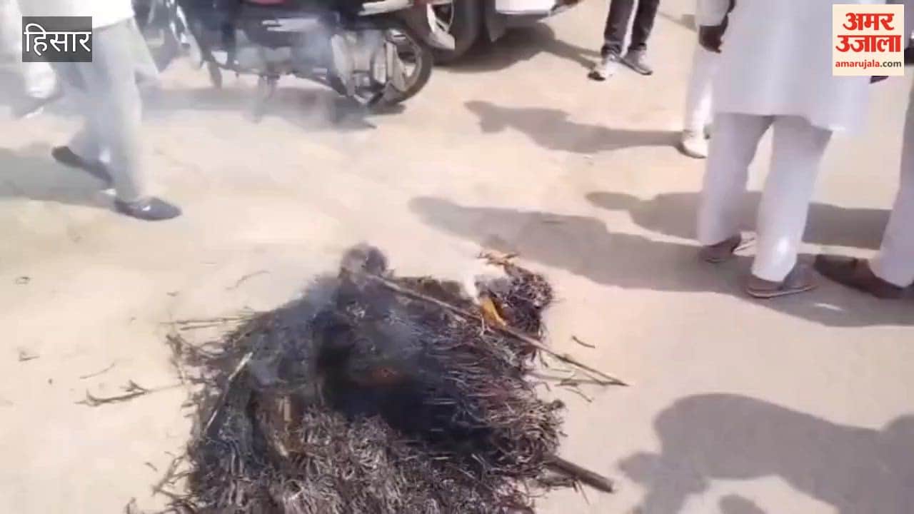 Farmers in Hansi gheraoed the BJP office and burned an effigy of CM Nayab Saini.