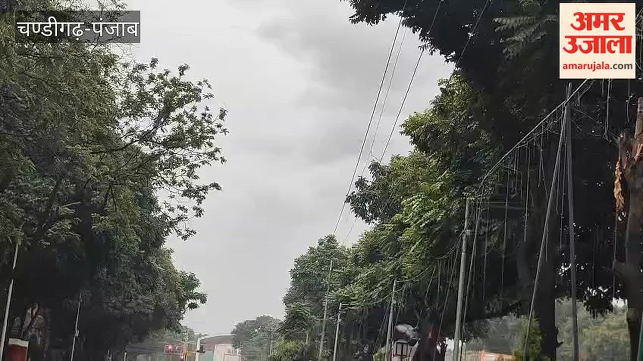 Heavy rain across the Tricity, including Chandigarh; morning downpour brings a chill to the weather.