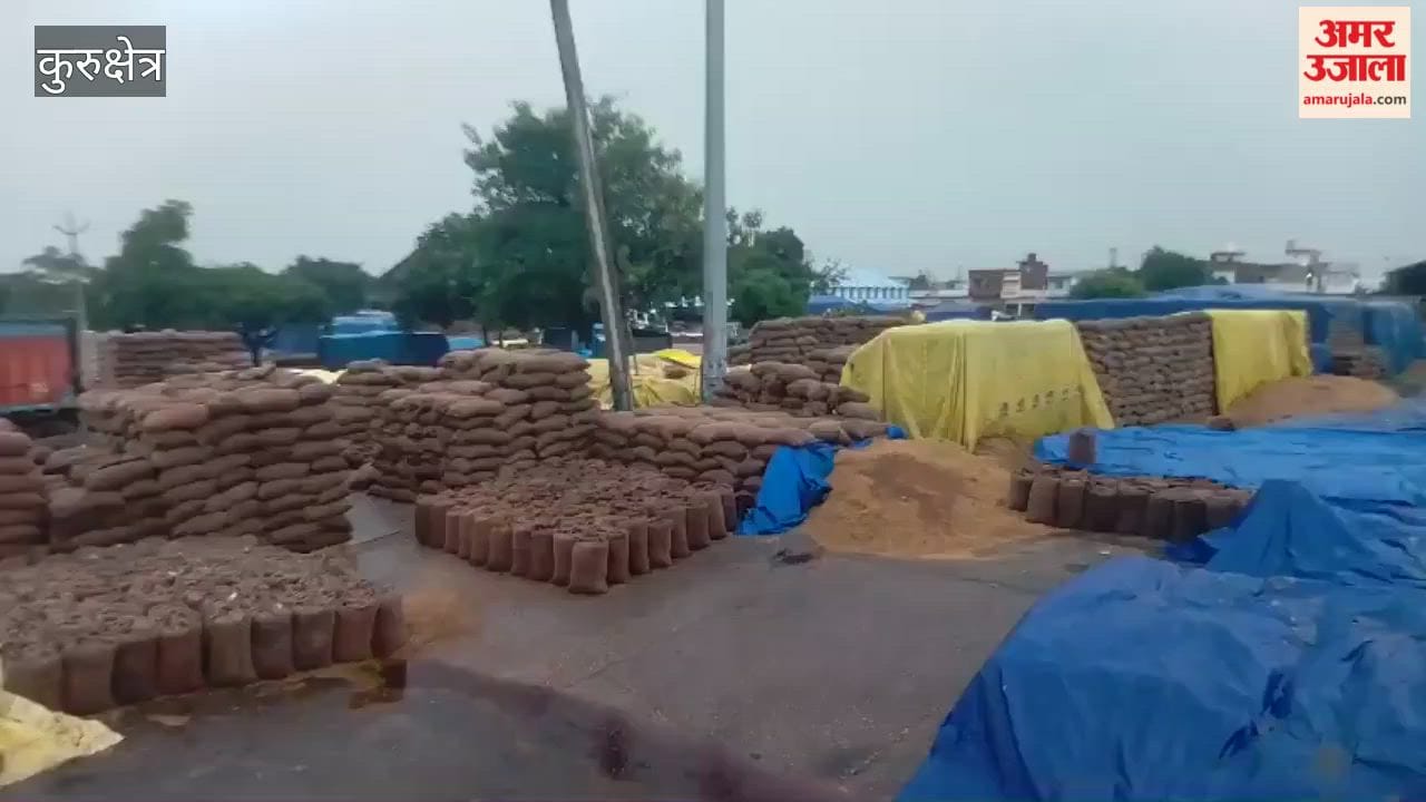 Weather changes in Kurukshetra; paddy worth crores gets soaked in the rain left lying out in the open.