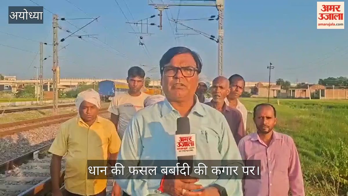 Video: जलनिकासी बंद होने से 500 बीघा धान की फसल बर्बादी की कगार पर