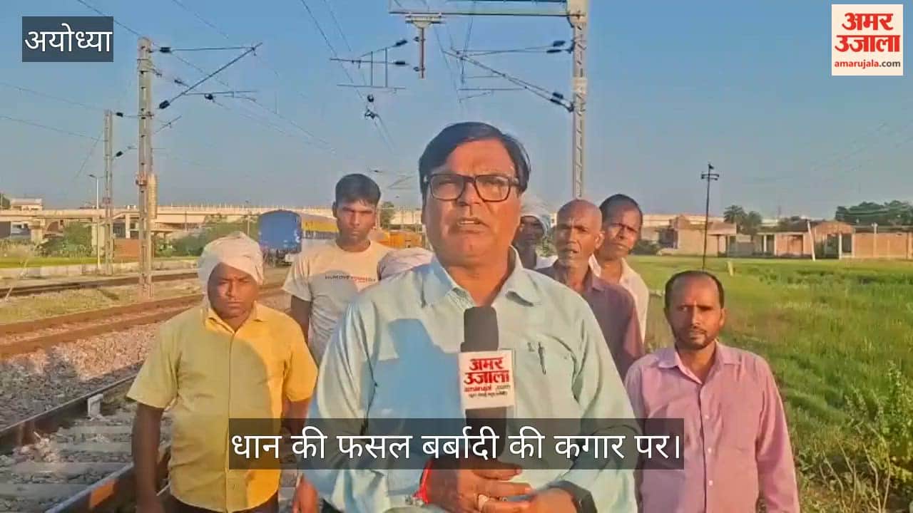Video: जलनिकासी बंद होने से 500 बीघा धान की फसल बर्बादी की कगार पर