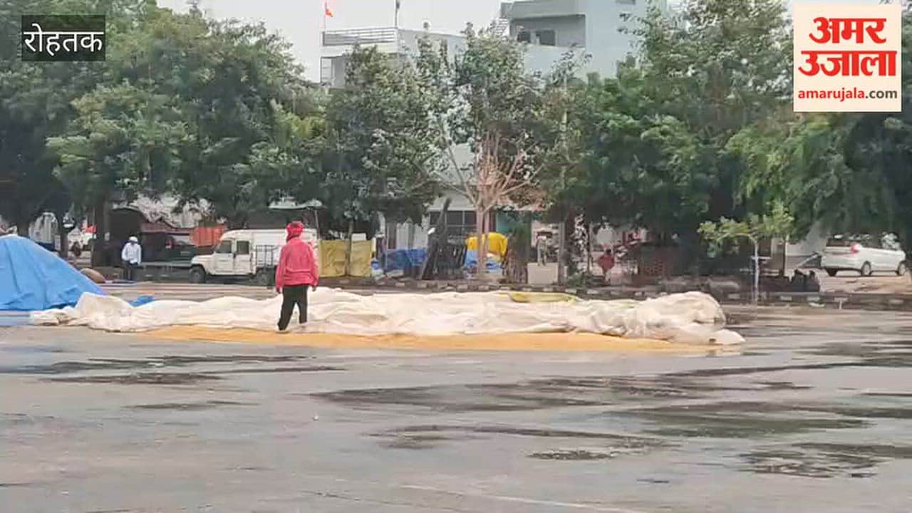 Paddy soaked by rain at Rohtak mandi