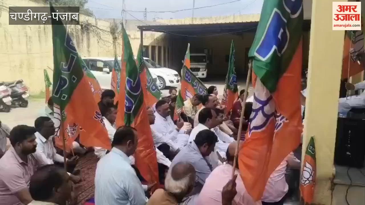BJP protests in Nangal, demands CM Mann's resignation