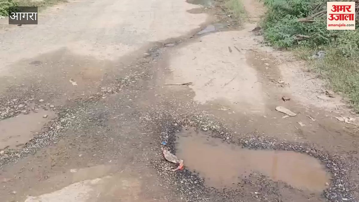 VIDEO: आगरा का ऐसा गांव, जहां 18 आईएएस और आईपीएस, वहां की सड़कों की ऐसी हालत; वीडियो देख रह जाएंगे हैरान