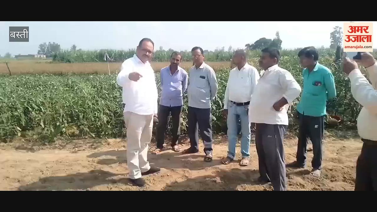 बस्ती: शरदकालीन गन्ना बोआई शुरू