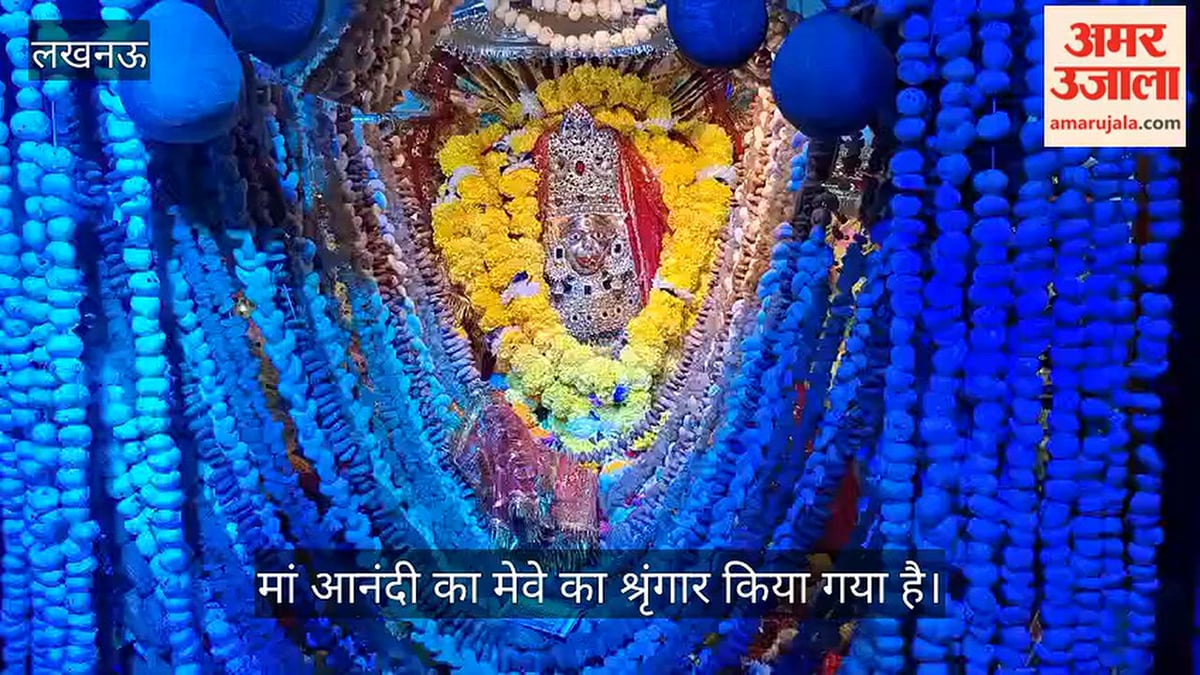 VIDEO: चौक चौराहे स्थित आनंदी माता मंदिर में नवरात्रि पर मां आनंदी का मेवे का श्रृंगार किया गया है