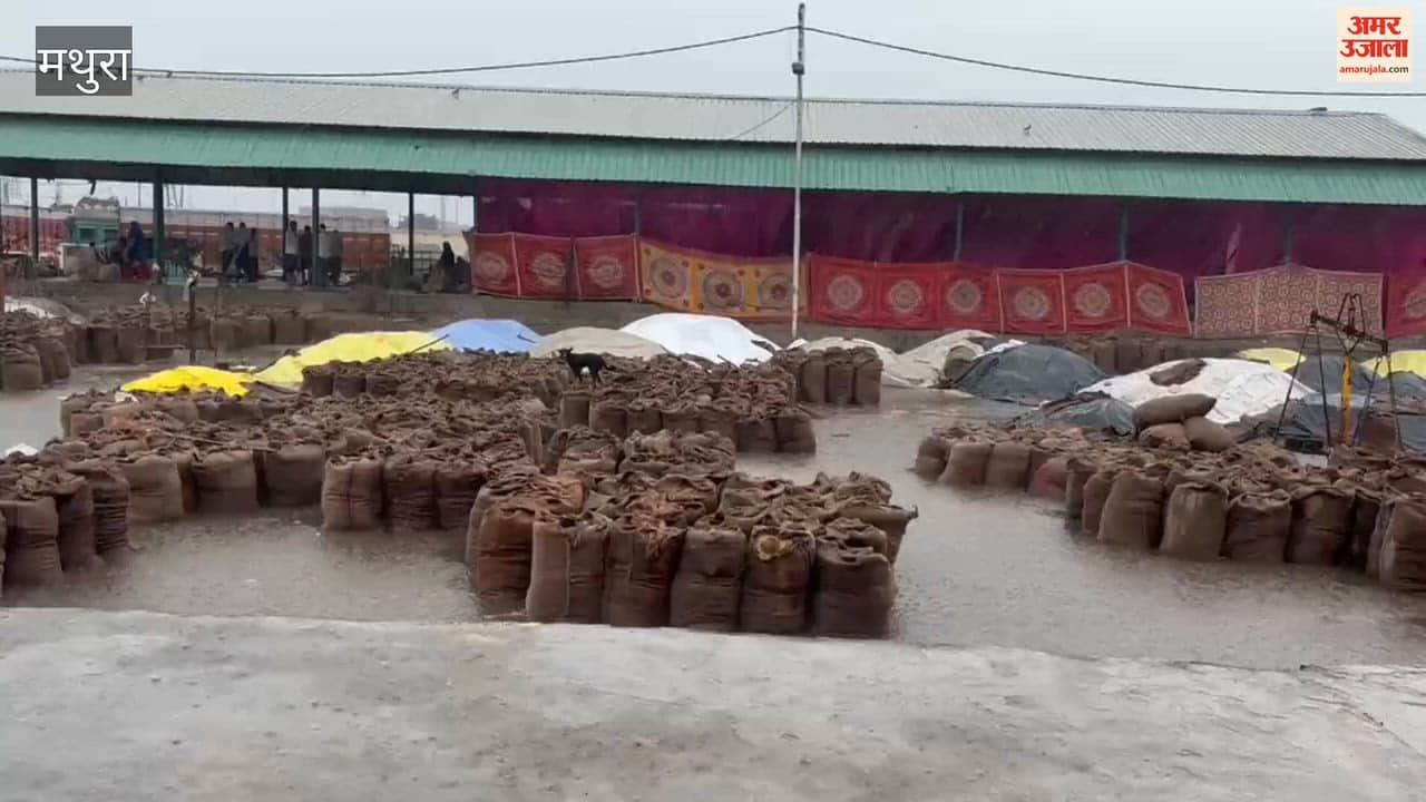 Sweated in the fields, rain made the market cry
